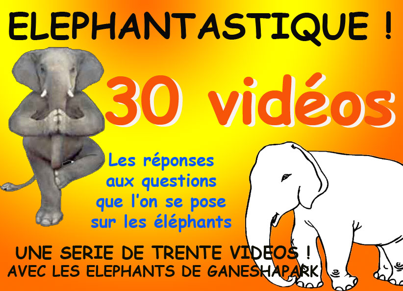 ELEPHANTASTIQUE Elephant, Thaïlande, Ganeshapark