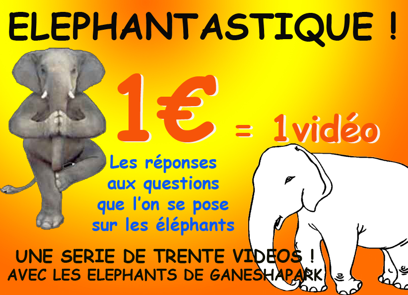ELEPHANTASTIQUE