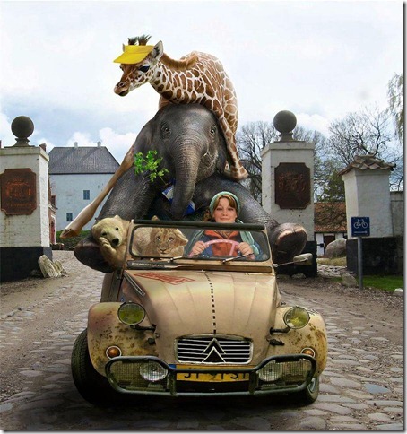 On déménage Ganeshapark part ailleurs